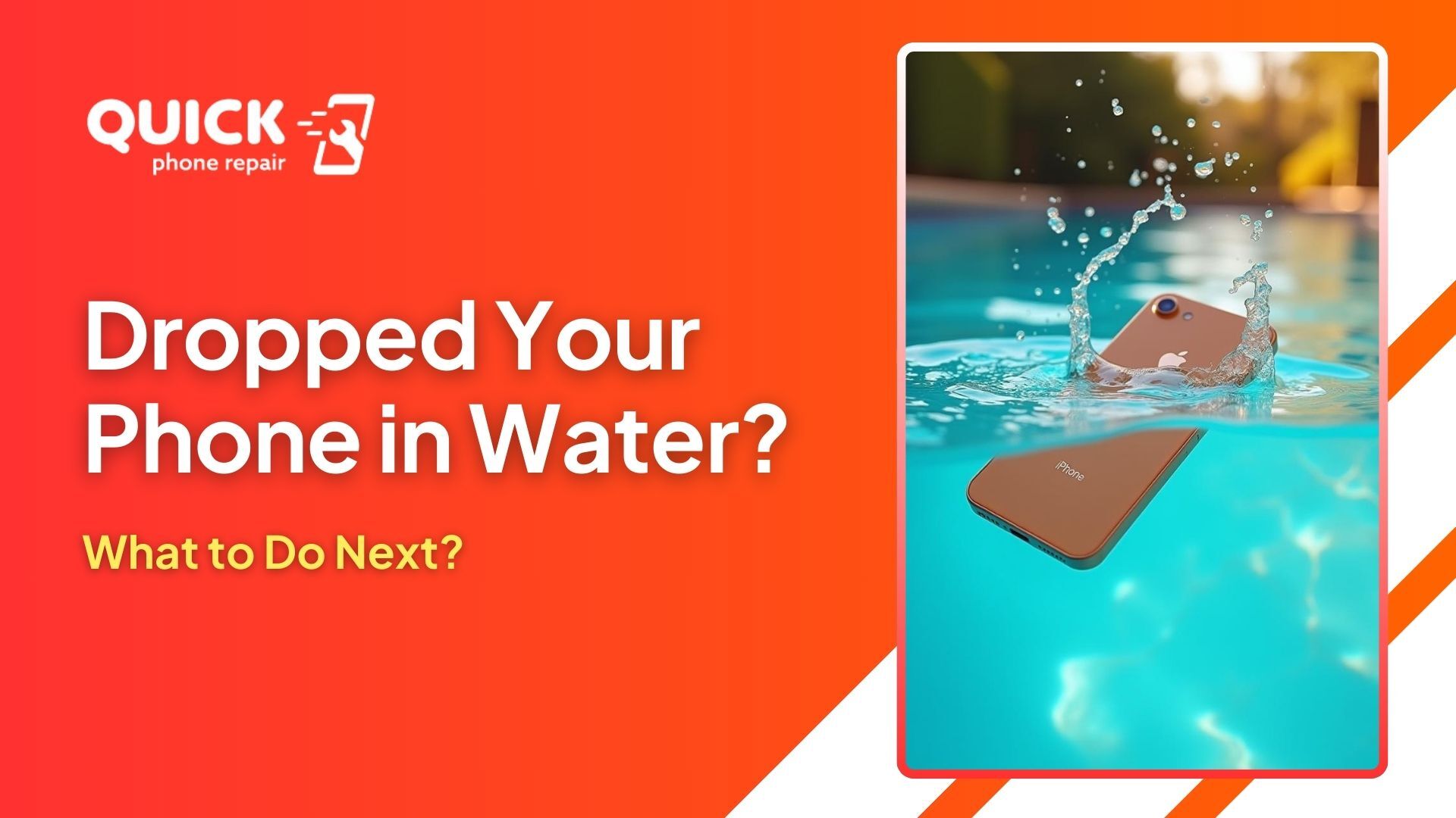 Dropped Your Phone in Water What to Do Next